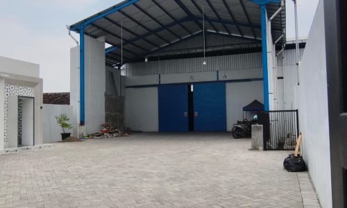 WhatsApp Image 2025-09-09 at 14.57.32